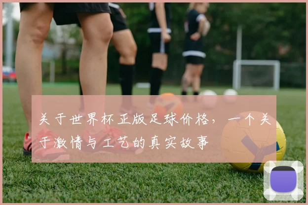 关于世界杯正版足球价格，一个关于激情与工艺的真实故事