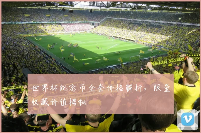世界杯纪念币全套价格解析，限量收藏价值揭秘