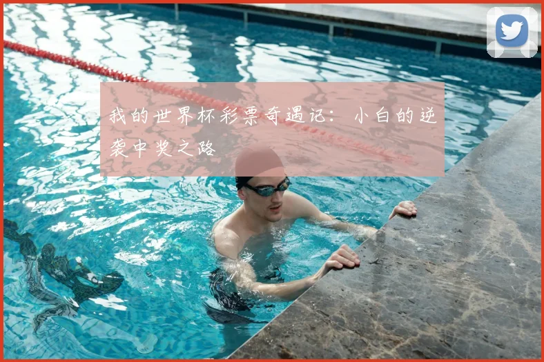 我的世界杯彩票奇遇记：小白的逆袭中奖之路