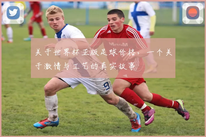 关于世界杯正版足球价格，一个关于激情与工艺的真实故事