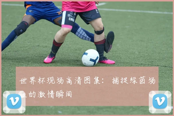 世界杯现场高清图集：捕捉绿茵场上的激情瞬间