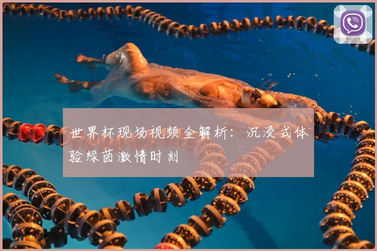 世界杯现场视频全解析：沉浸式体验绿茵激情时刻