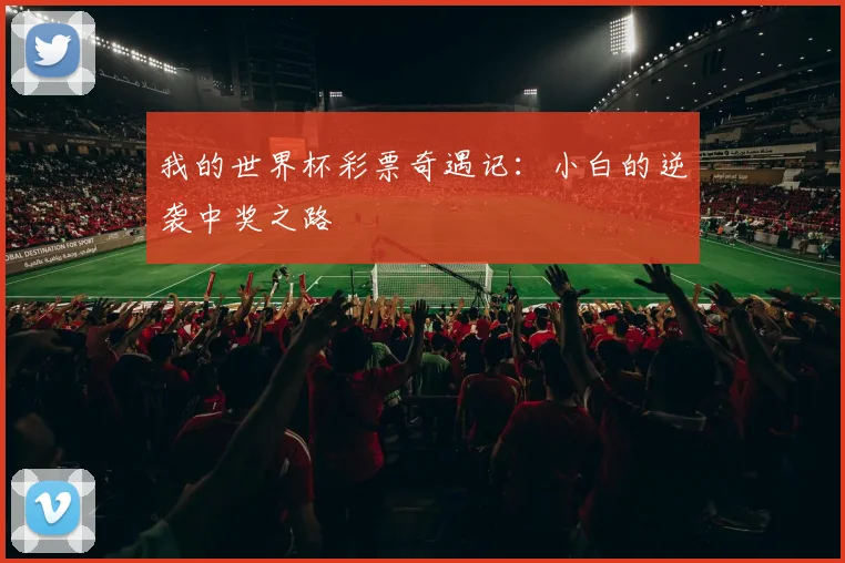 我的世界杯彩票奇遇记：小白的逆袭中奖之路