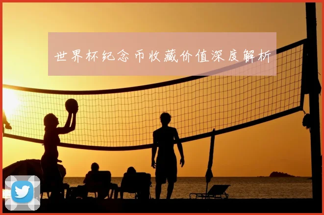 世界杯纪念币收藏价值深度解析