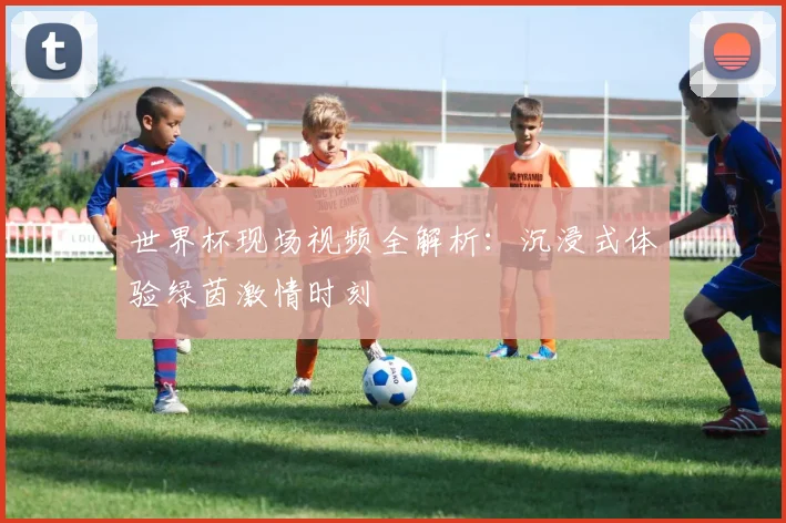 世界杯现场视频全解析：沉浸式体验绿茵激情时刻