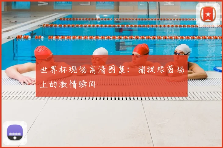 世界杯现场高清图集：捕捉绿茵场上的激情瞬间