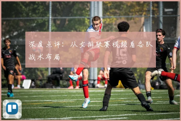 深度点评：从女排联赛视频看各队战术布局