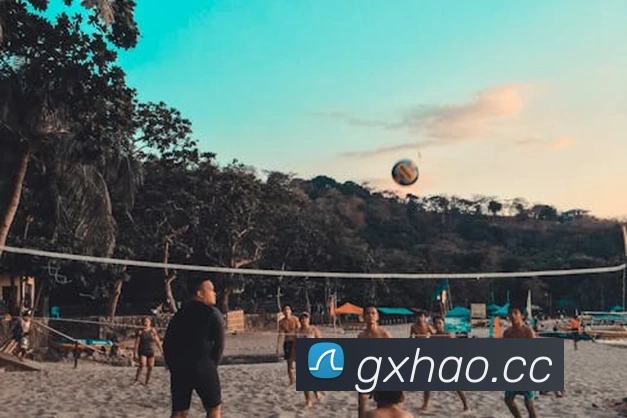 mk体育官网中国官方网平台生态图