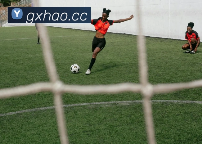 mk体育官网中国官方网全站App mk体育官网中国官方网全站App